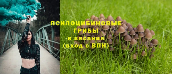 прущий лед Армянск
