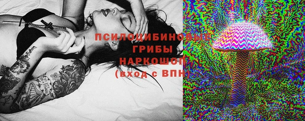 прущий лед Армянск